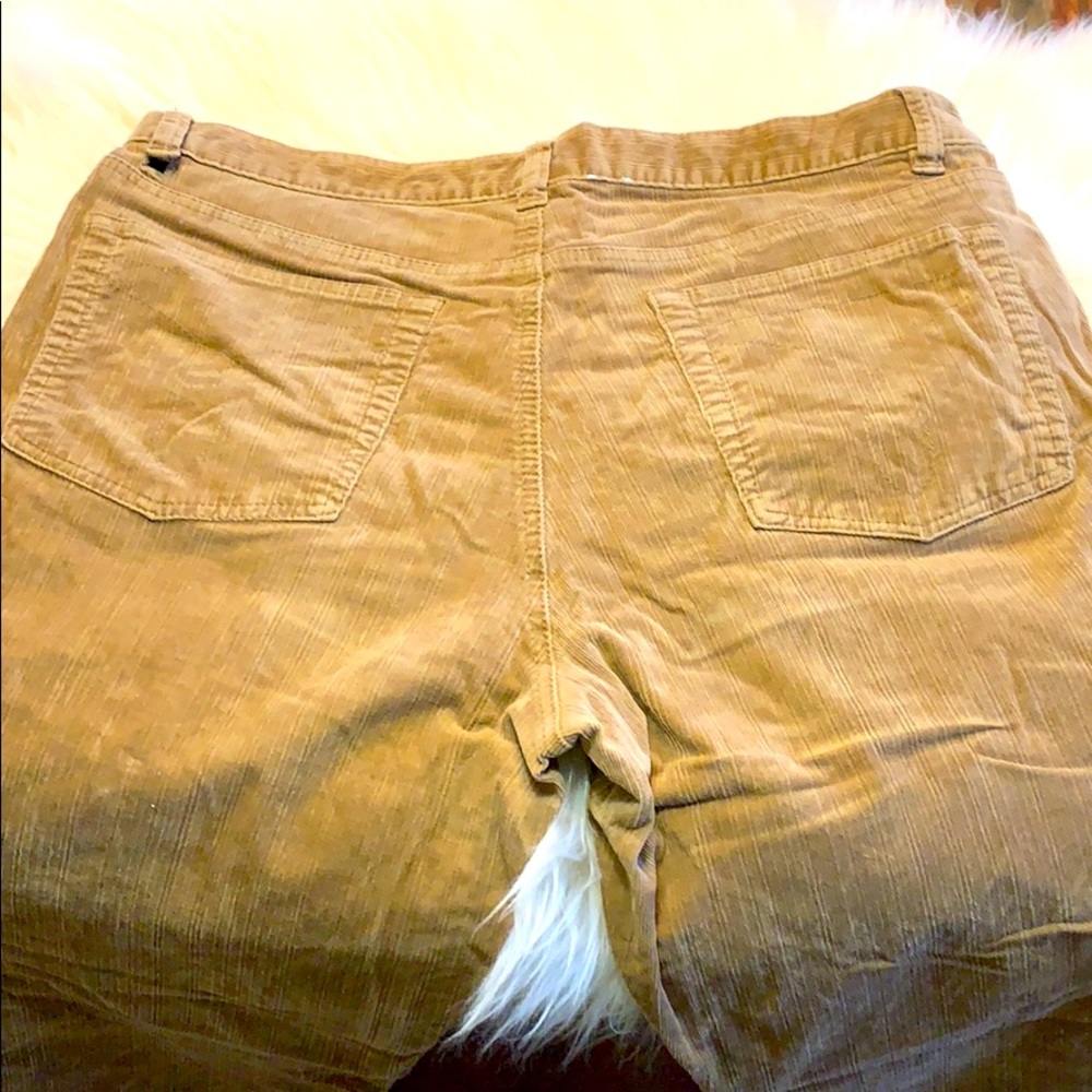 🔥4/$25🔥 Calvin Klein corduroy